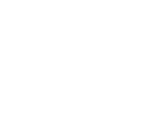 Rankfox Logo